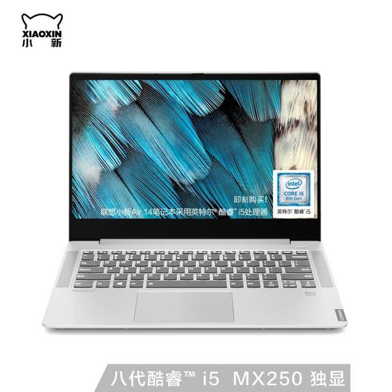 联想（Lenovo）小新Air14英寸 超轻薄笔记本电脑 高色域玻璃屏版i5-8265U 512G 轻奢灰