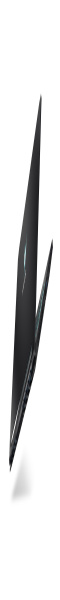 掠夺者刀锋500 15.6英寸300Hz电竞屏窄边框电竞游戏本笔记本电脑（九代酷睿I7 16G 1TB SSD RTX2080 Max-Q